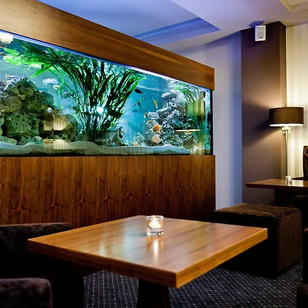 Golden Fish Xia
