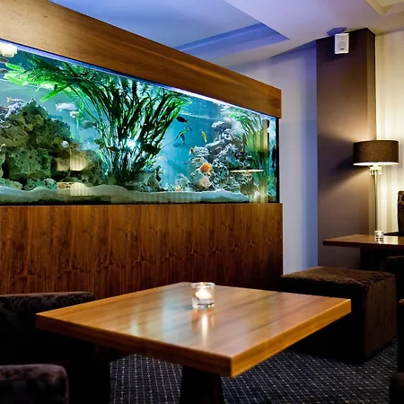 Golden Fish 4*
